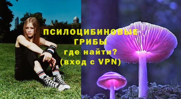 прущие грибы Костерёво