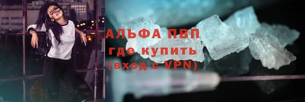 прущие грибы Костерёво