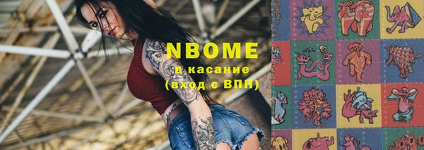 прущие грибы Костерёво