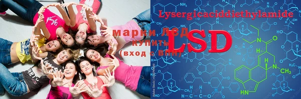прущие грибы Костерёво