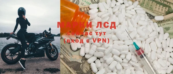 прущие грибы Костерёво