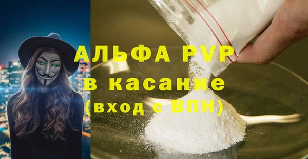 прущие грибы Костерёво